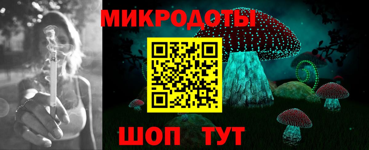 Пугачёв  Галлюциногенные грибы Magic Shrooms  Вход с VPN  Псилоцибиновые грибы мухоморы 