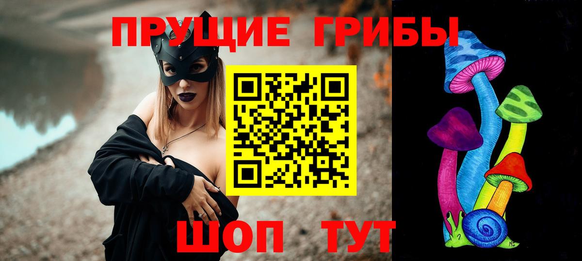 Галлюциногенные грибы Cubensis Пугачёв