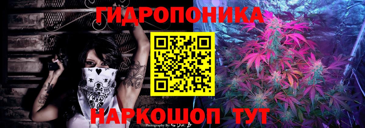 Шишки марихуана AK-47 Пугачёв